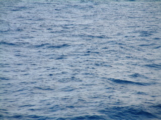 Cruise_Day_2_-At_Sea-_023.jpg