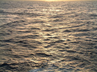 Cruise_Day_3_-At_Sea-_034.jpg