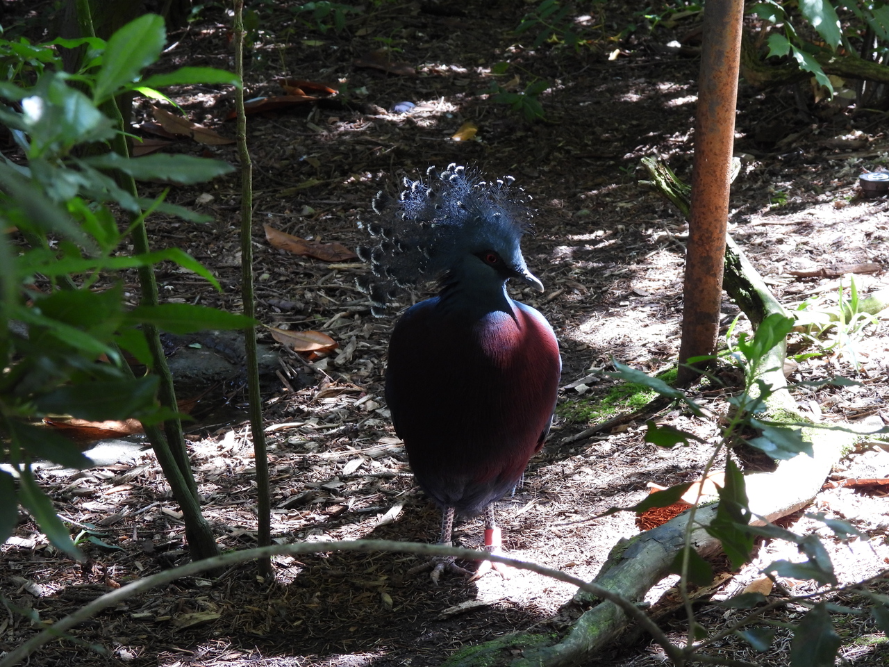 DSCN6033.JPG