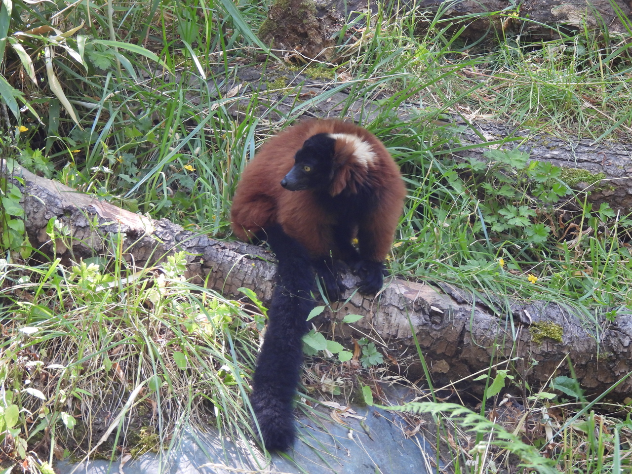 DSCN6040.JPG