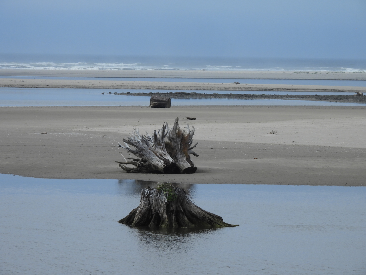 DSCN6080.JPG