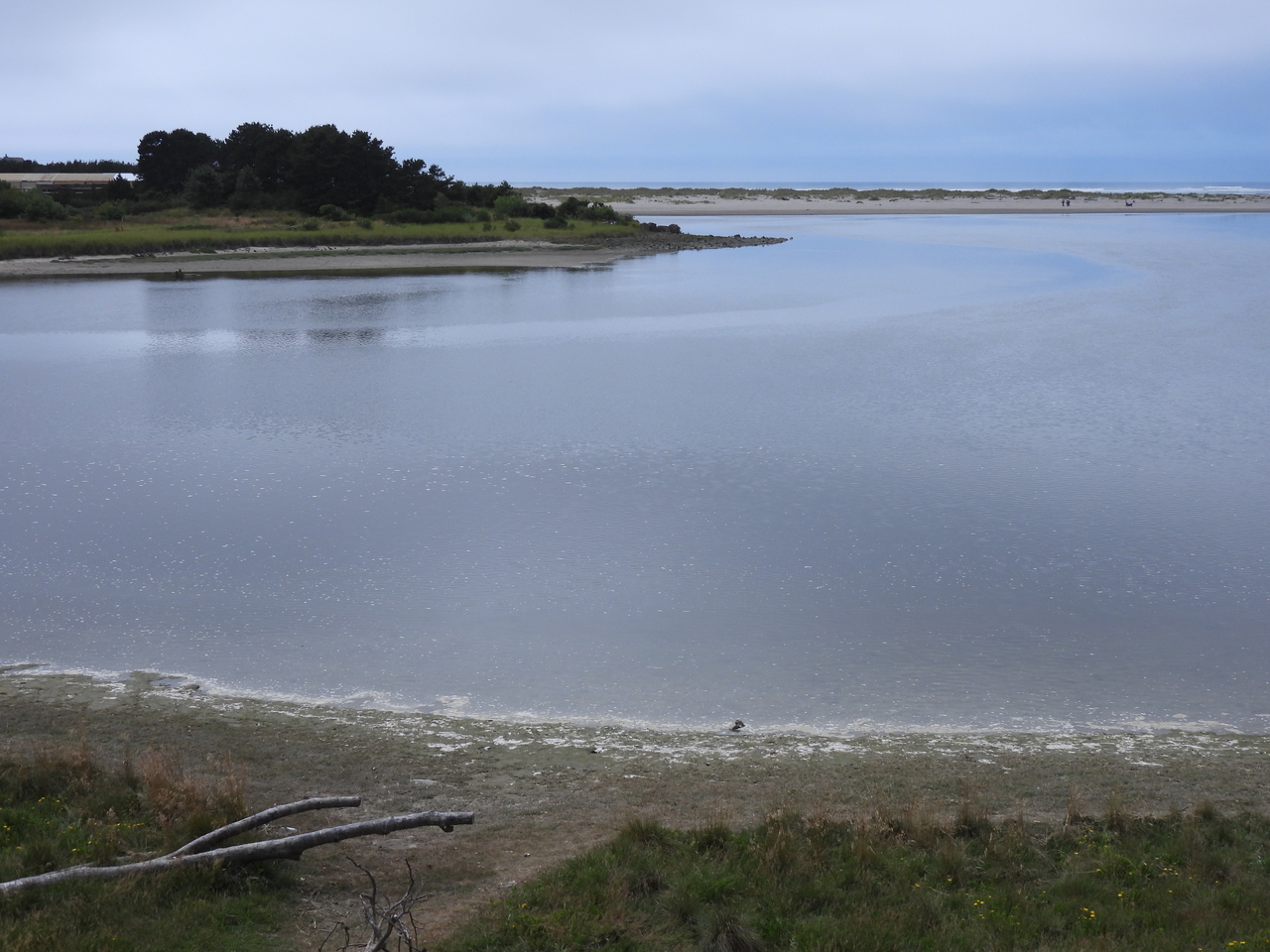 DSCN6085.JPG