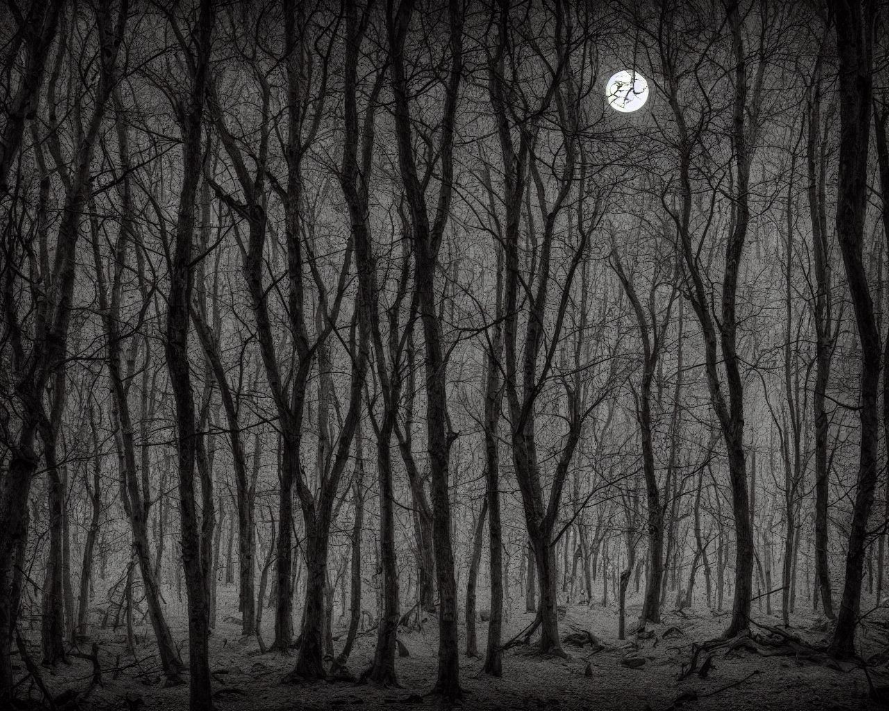 00015-3-nikon_d8102C_spooky_haunted_forest_at_night_under_a_full_moon2C_ghost.png