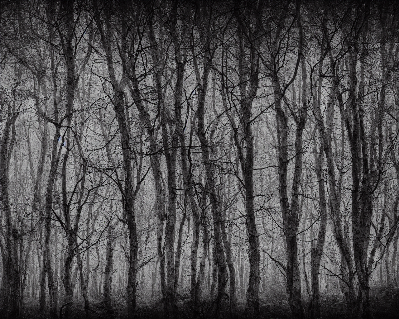 00019-7-nikon_d8102C_spooky_haunted_forest_at_night_under_a_full_moon2C_ghost.png