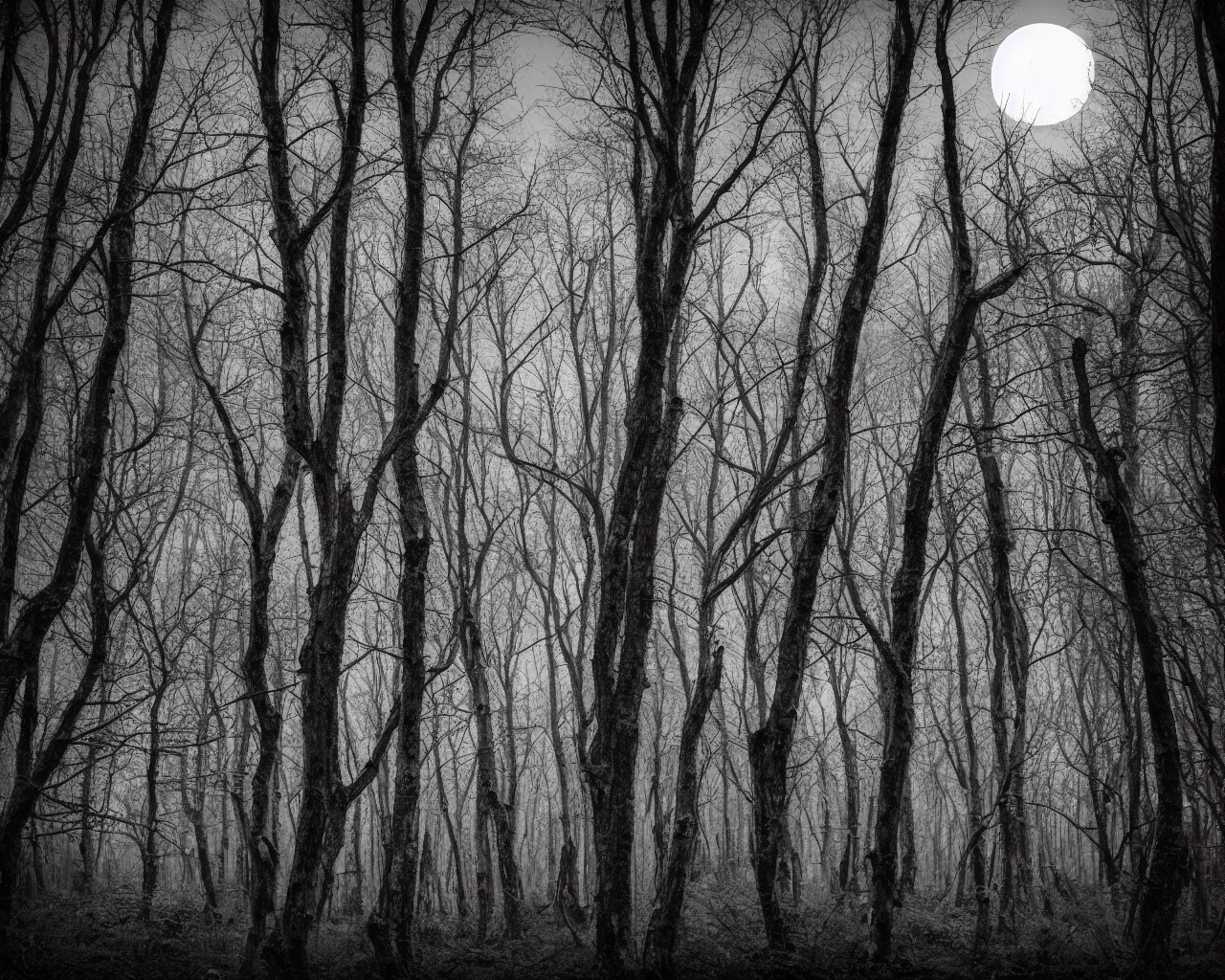 00020-8-nikon_d8102C_spooky_haunted_forest_at_night_under_a_full_moon2C_ghost.png