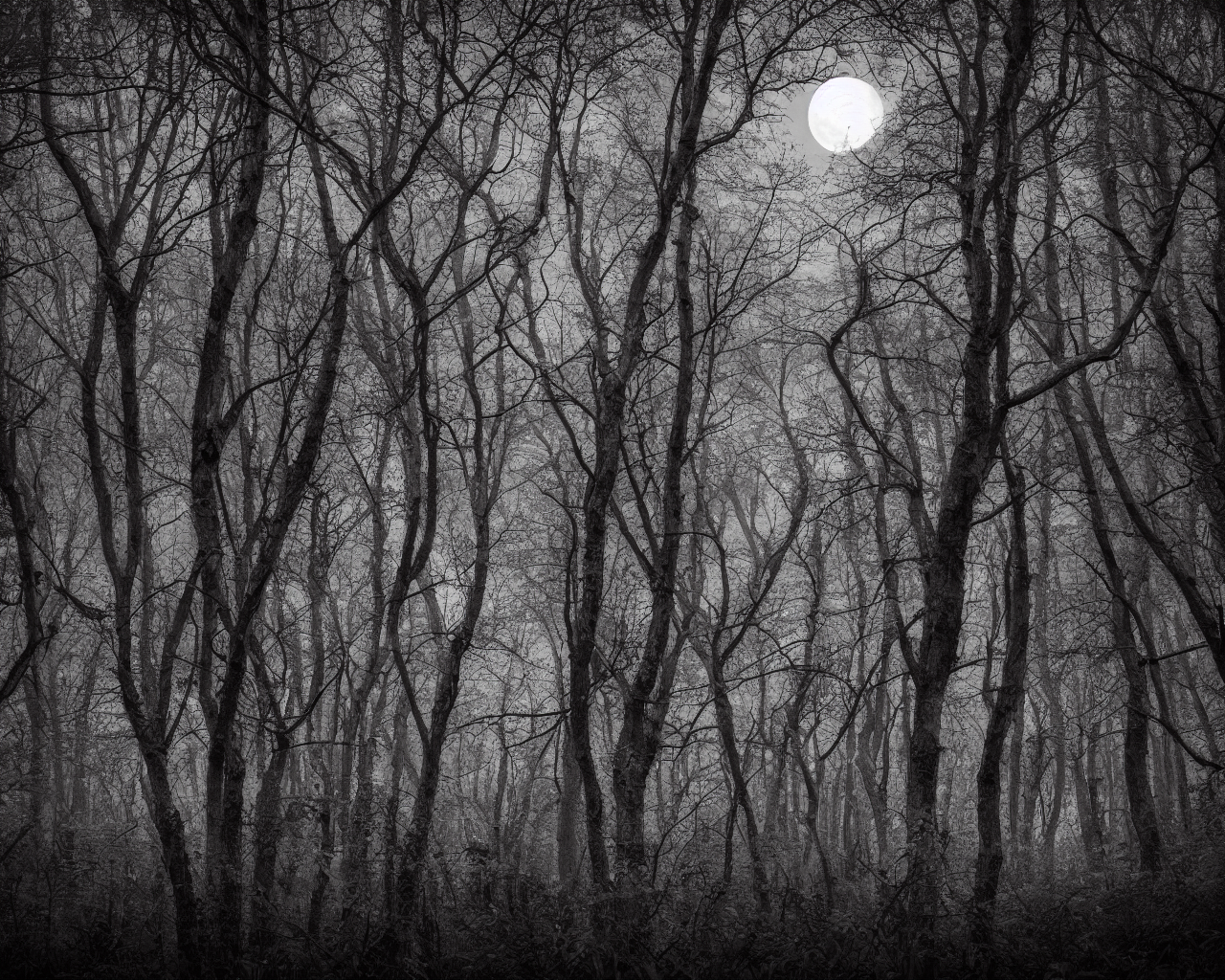 00026-14-nikon_d8102C_spooky_haunted_forest_at_night_under_a_full_moon2C_ghost.png