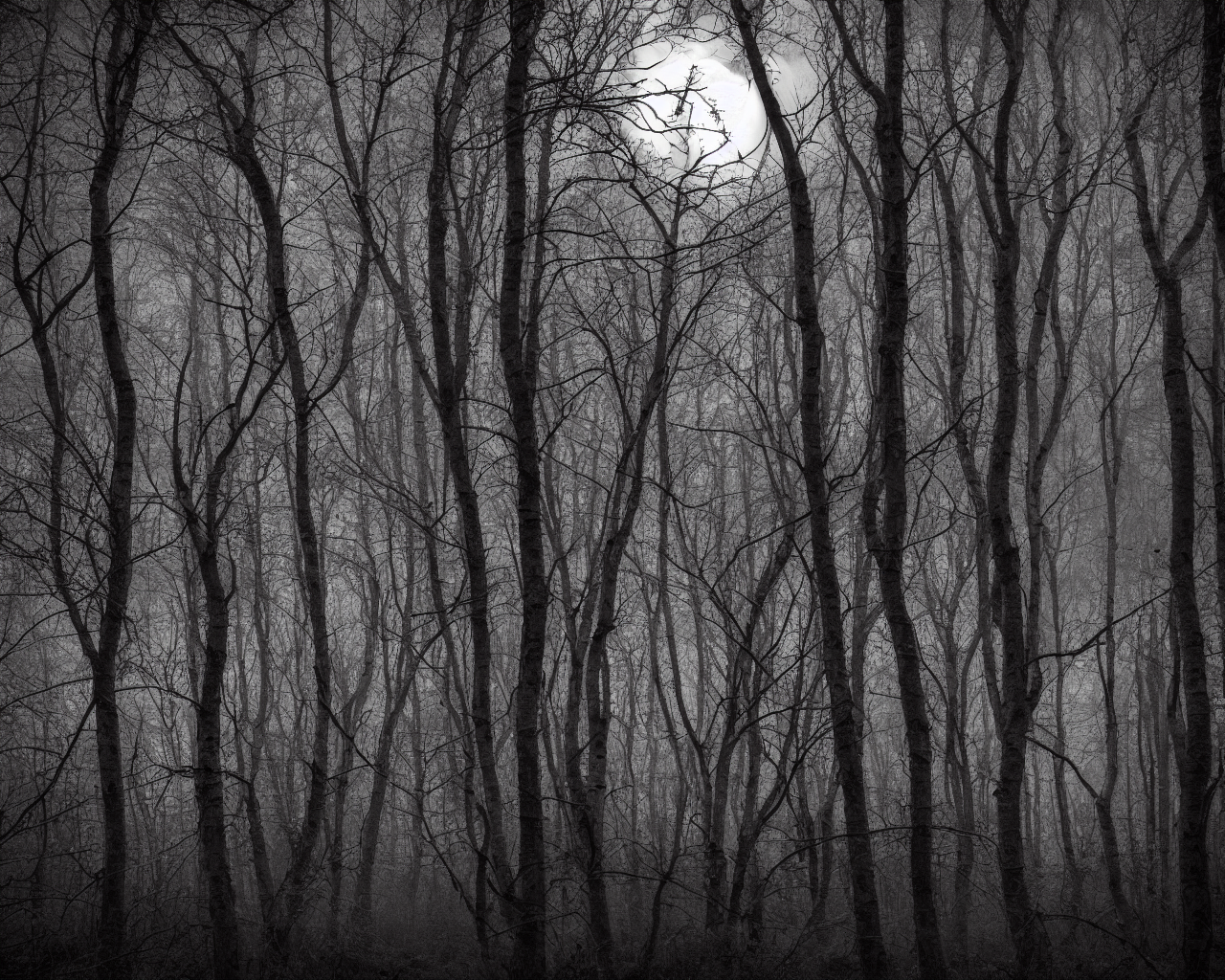 00028-16-nikon_d8102C_spooky_haunted_forest_at_night_under_a_full_moon2C_ghost.png