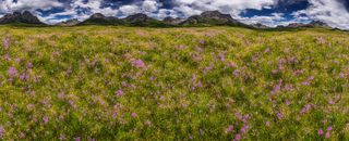 00005-2859553099-nikon_d8102C_panoramic2C_wildflower_mountain_meadow_on_an_alien_world.png