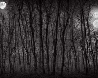 00014-2-nikon_d8102C_spooky_haunted_forest_at_night_under_a_full_moon2C_ghost.png