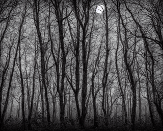 00017-5-nikon_d8102C_spooky_haunted_forest_at_night_under_a_full_moon2C_ghost.png