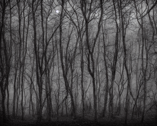 00022-10-nikon_d8102C_spooky_haunted_forest_at_night_under_a_full_moon2C_ghost.png
