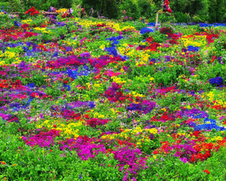00109-26-flower_garden_with_pixies_and_rainbows.png