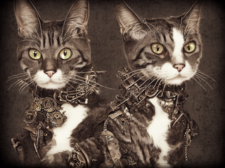 00228-3423355933-steampunk_cat2C_photo_realistic.png