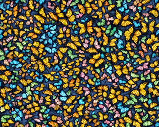 00237-1588669890-butterflies2C_photo_realistic.png