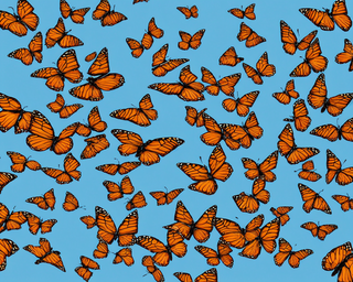00239-1588669892-butterflies2C_photo_realistic.png