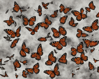 00243-1588669896-butterflies2C_photo_realistic.png