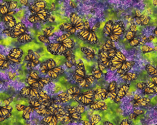 00244-1588669897-butterflies2C_photo_realistic.png