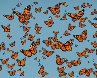 00245-1588669898-butterflies2C_photo_realistic.png