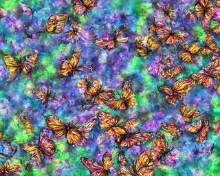 00248-1588669901-butterflies2C_photo_realistic.png