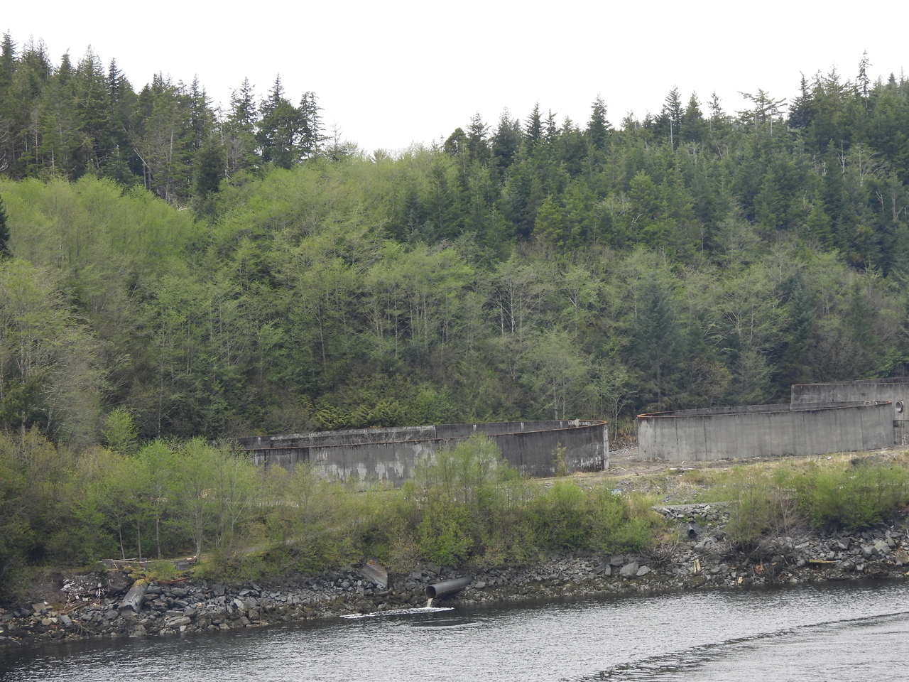 DSCN5382.JPG