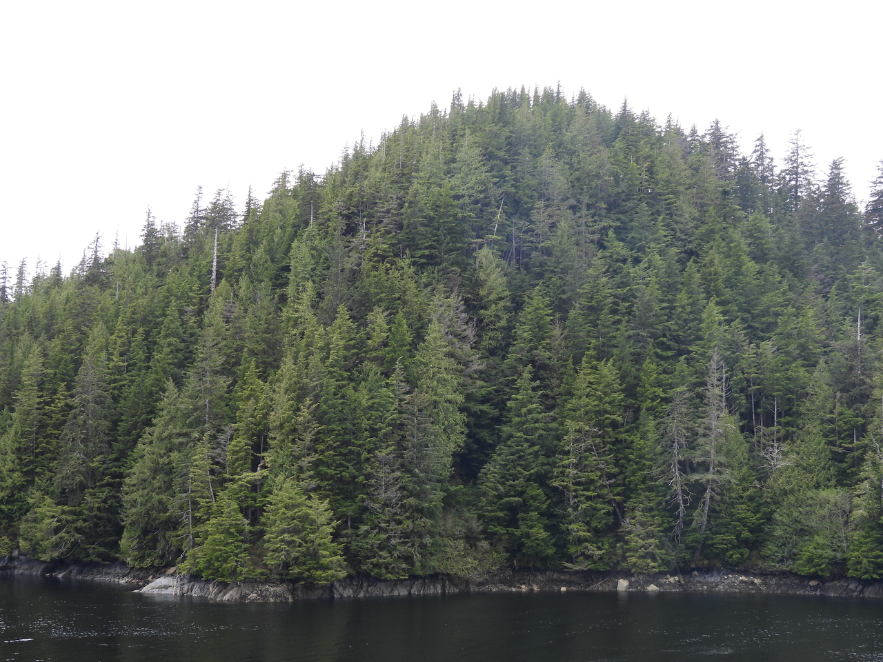 DSCN5383.JPG
