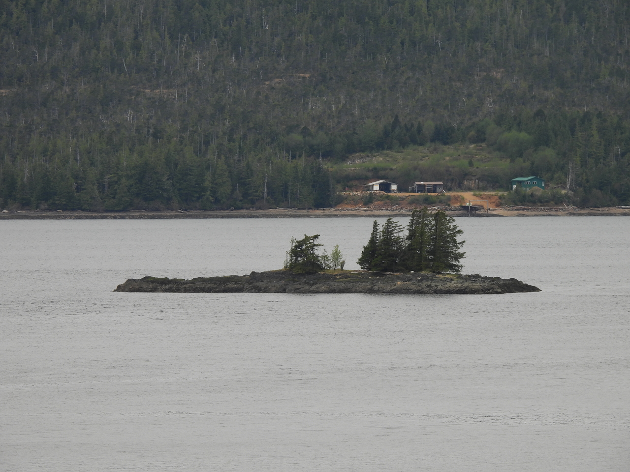 DSCN5384.JPG