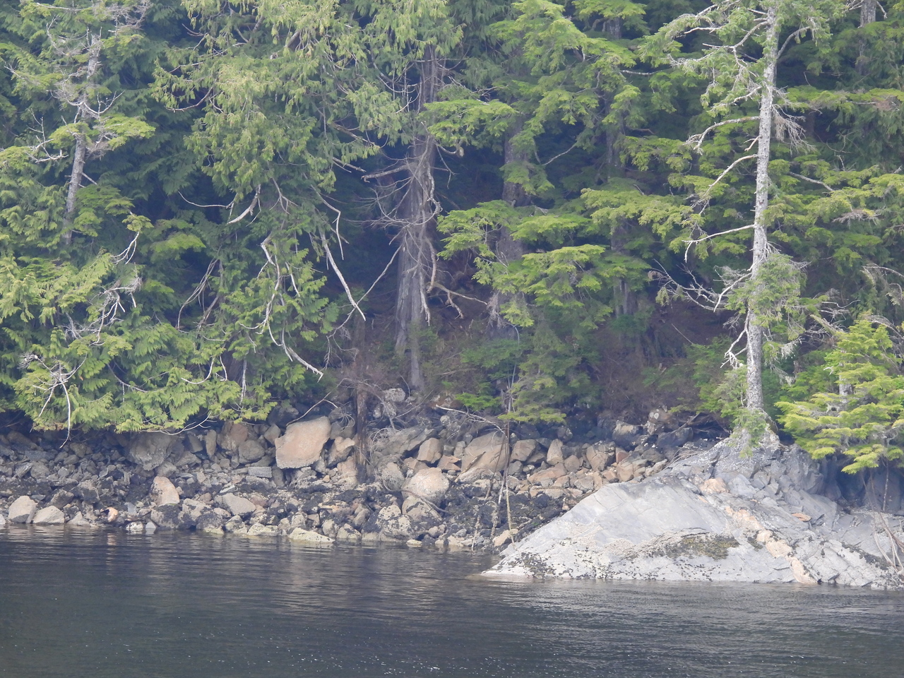 DSCN5391.JPG