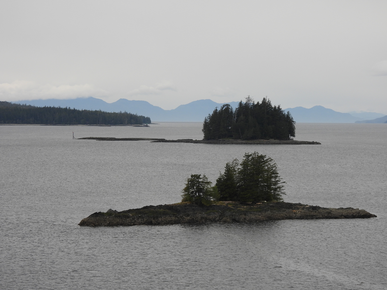 DSCN5395.JPG