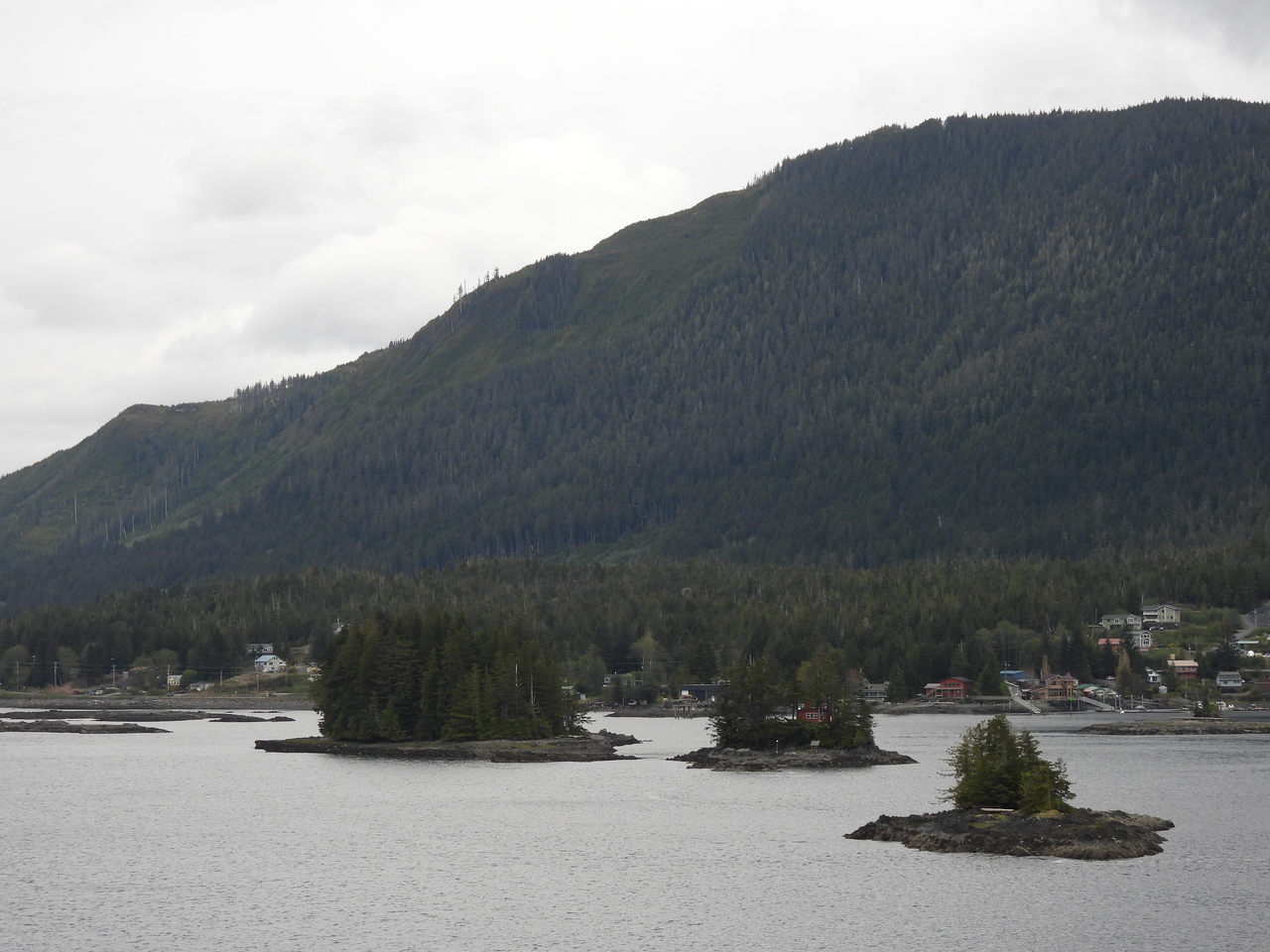 DSCN5398.JPG