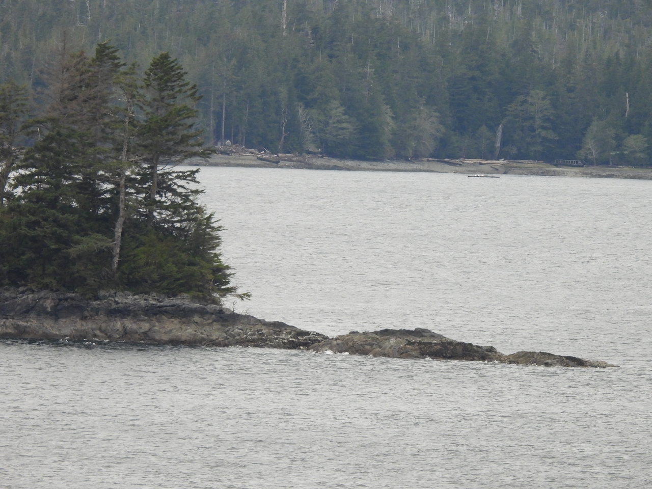 DSCN5401.JPG