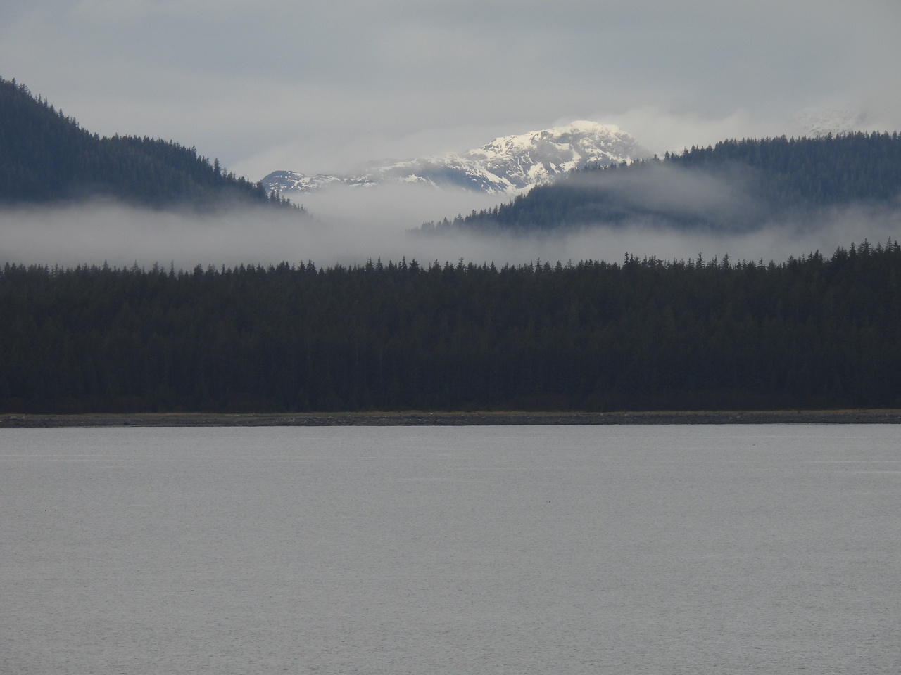 DSCN5417.JPG