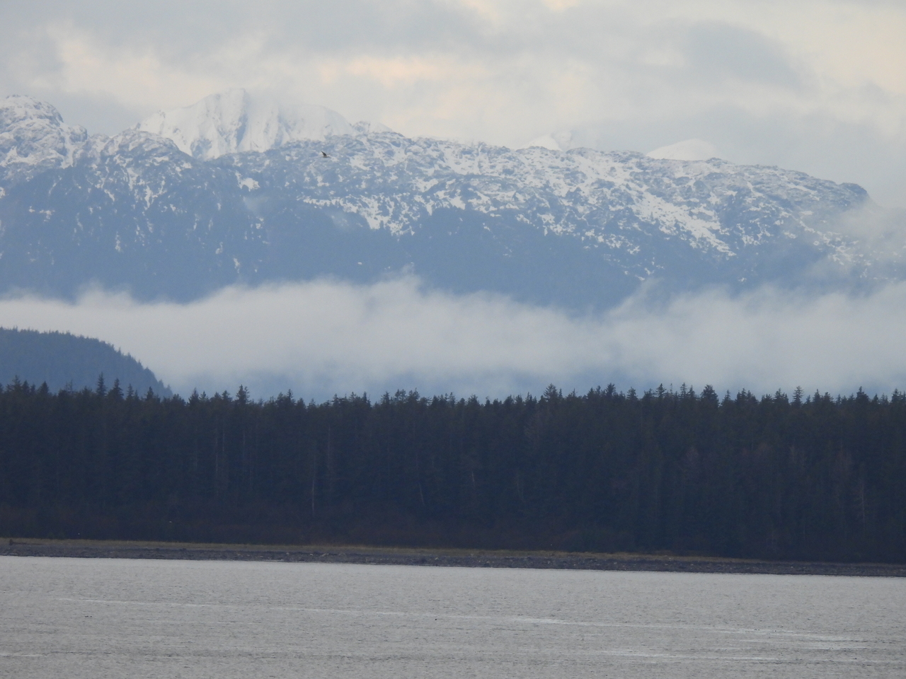 DSCN5420.JPG
