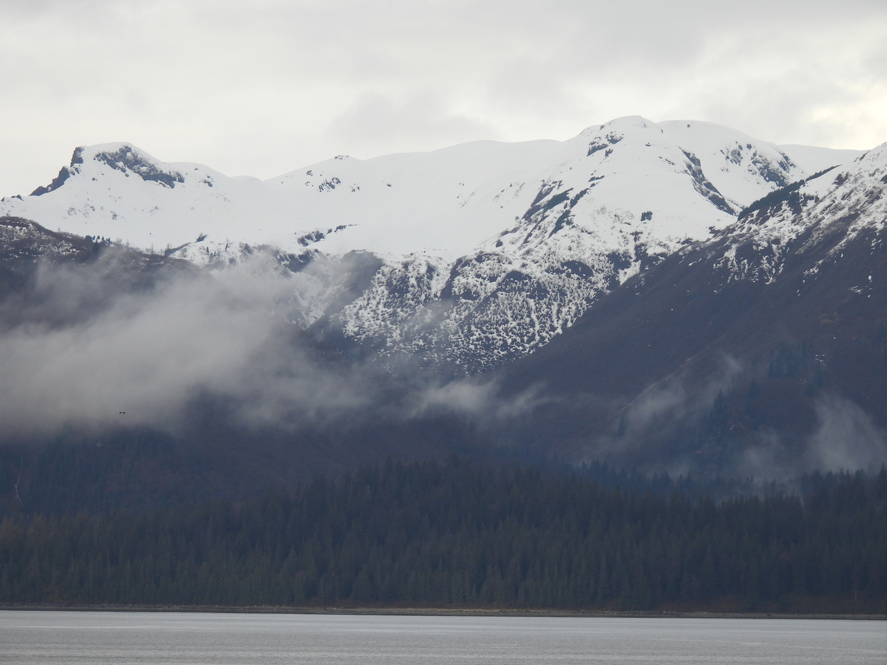 DSCN5431.JPG