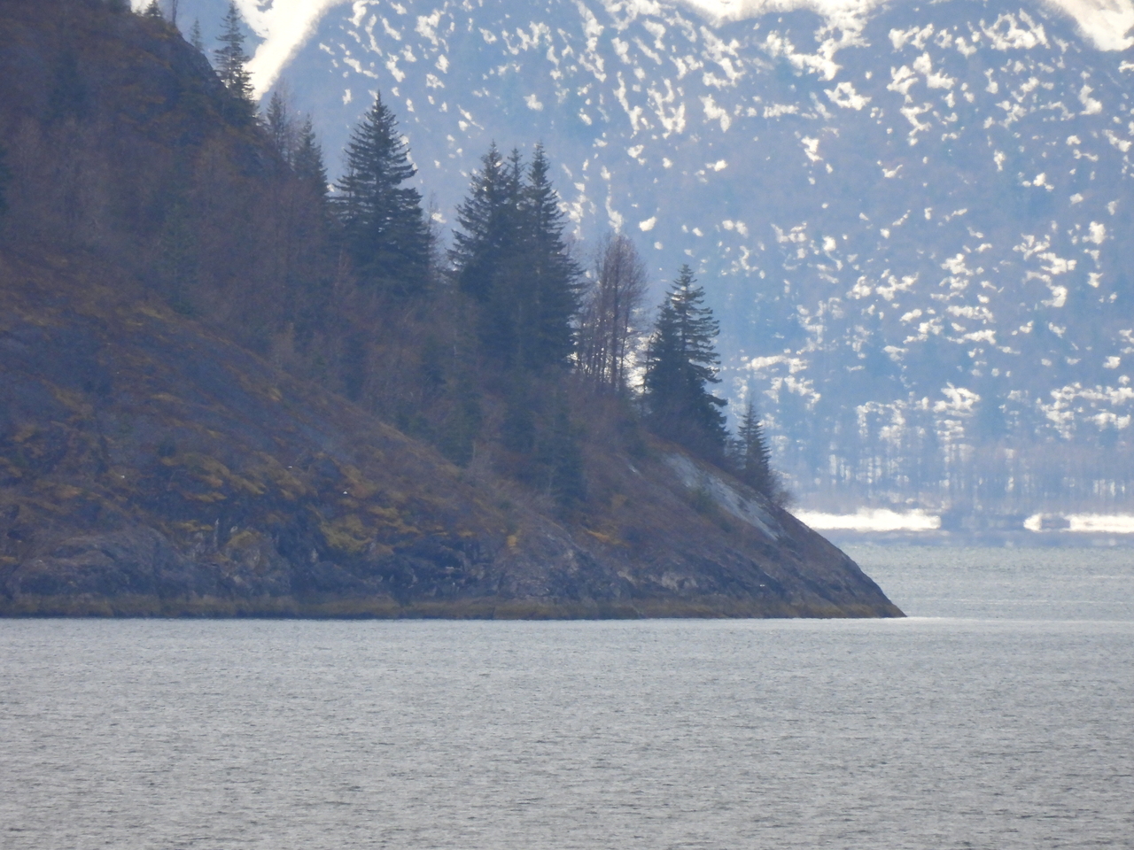 DSCN5463.JPG