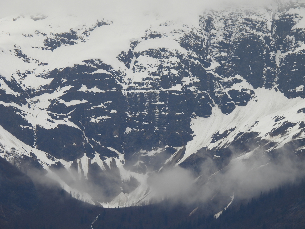 DSCN5467.JPG
