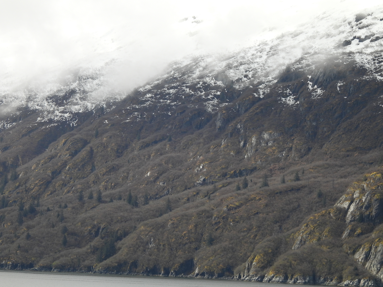 DSCN5513.JPG