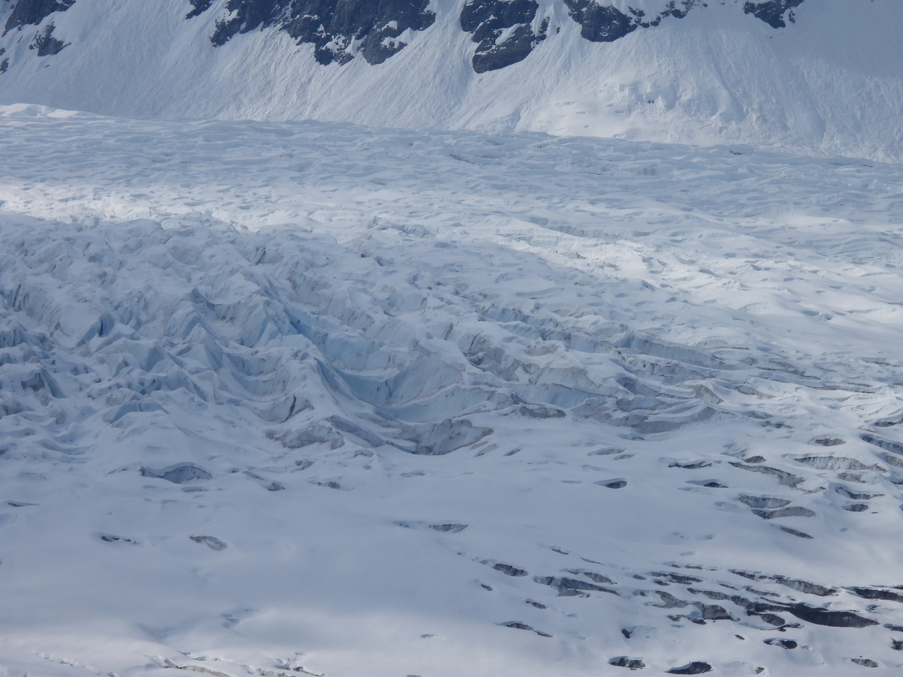 DSCN5546.JPG