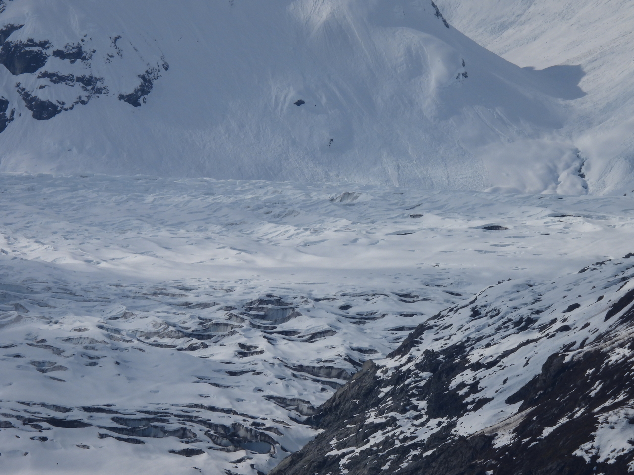 DSCN5558.JPG