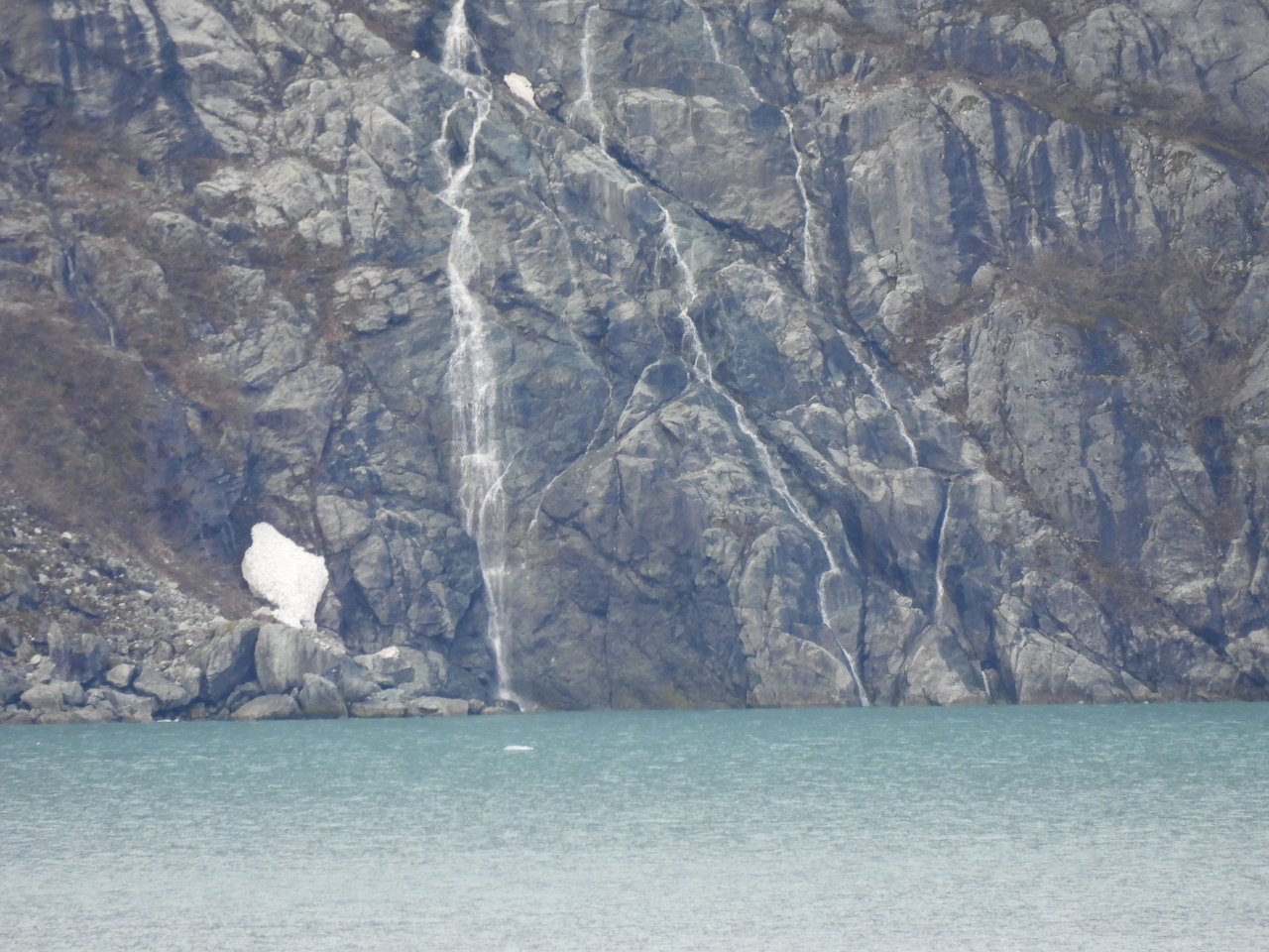 DSCN5594.JPG