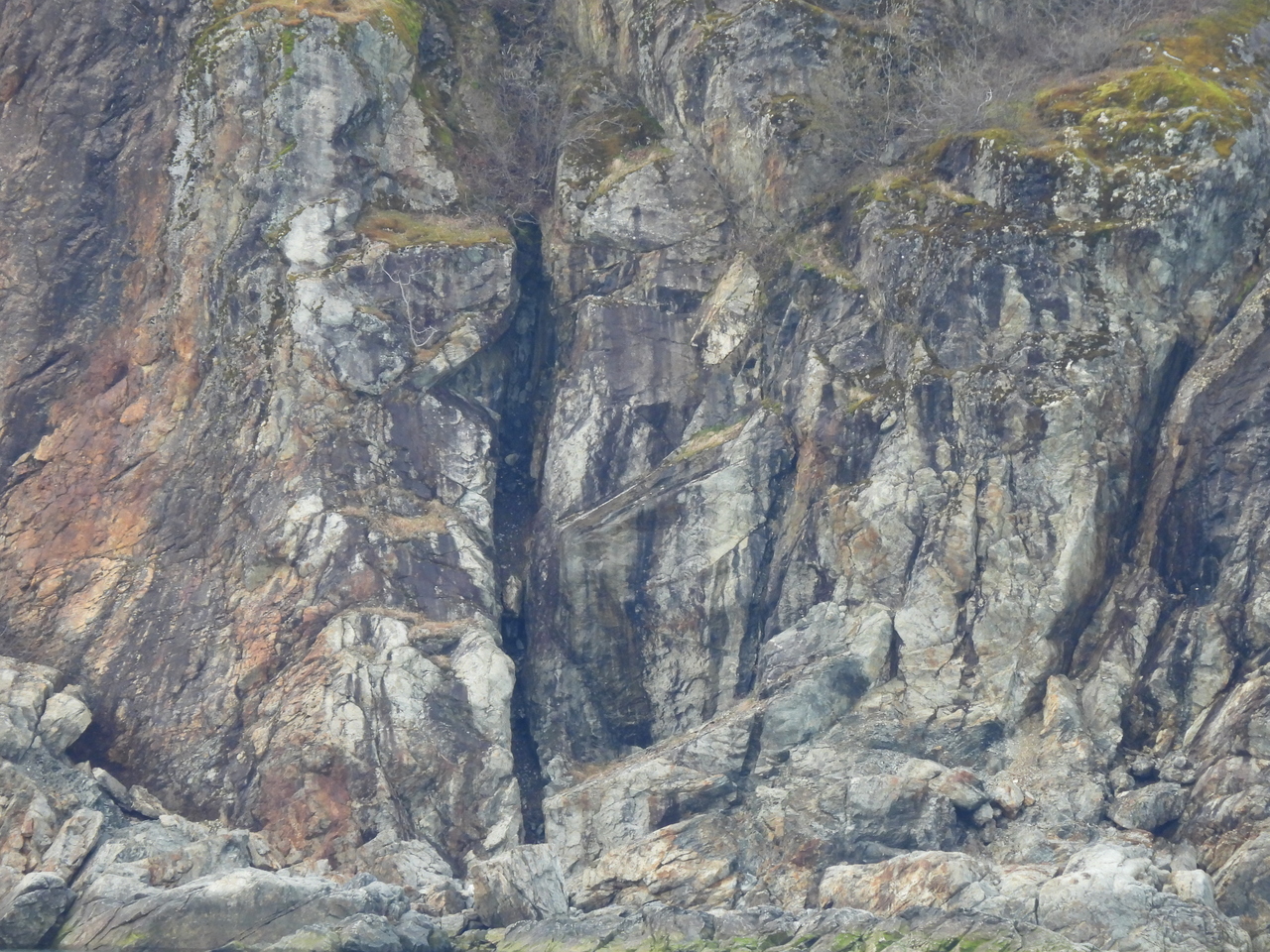 DSCN5606.JPG