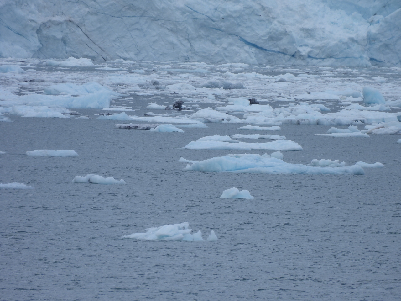 DSCN5649.JPG