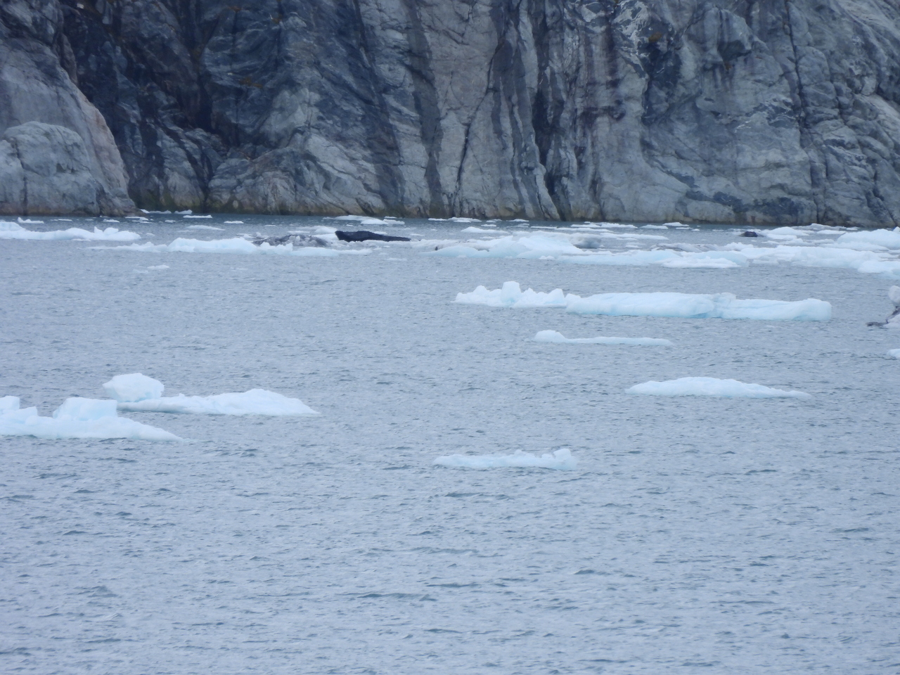 DSCN5651.JPG