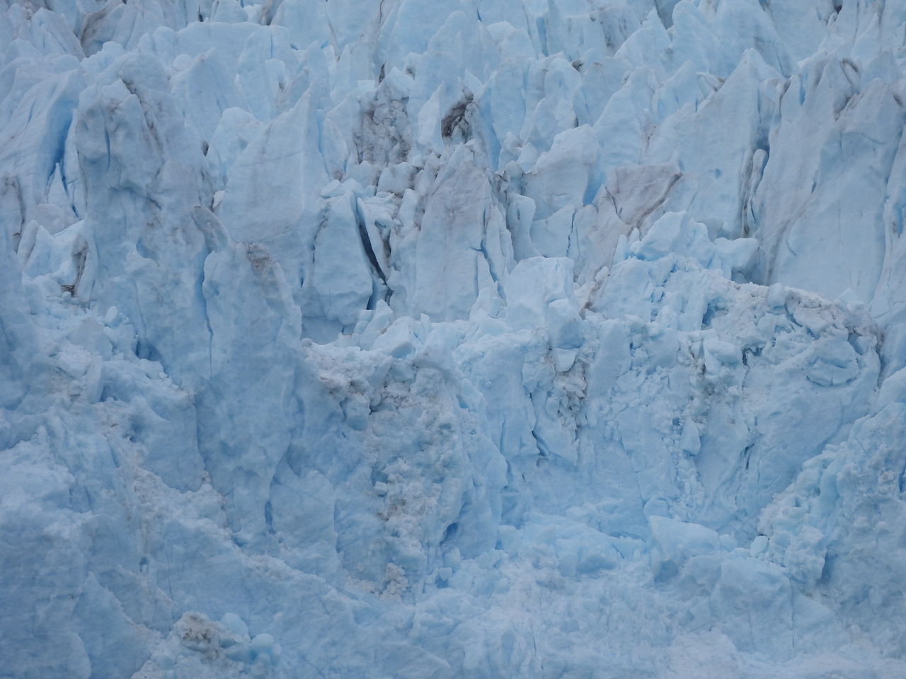 DSCN5681.JPG