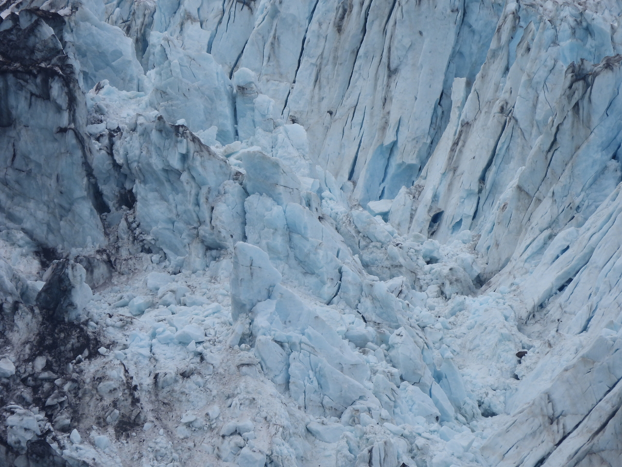 DSCN5688.JPG