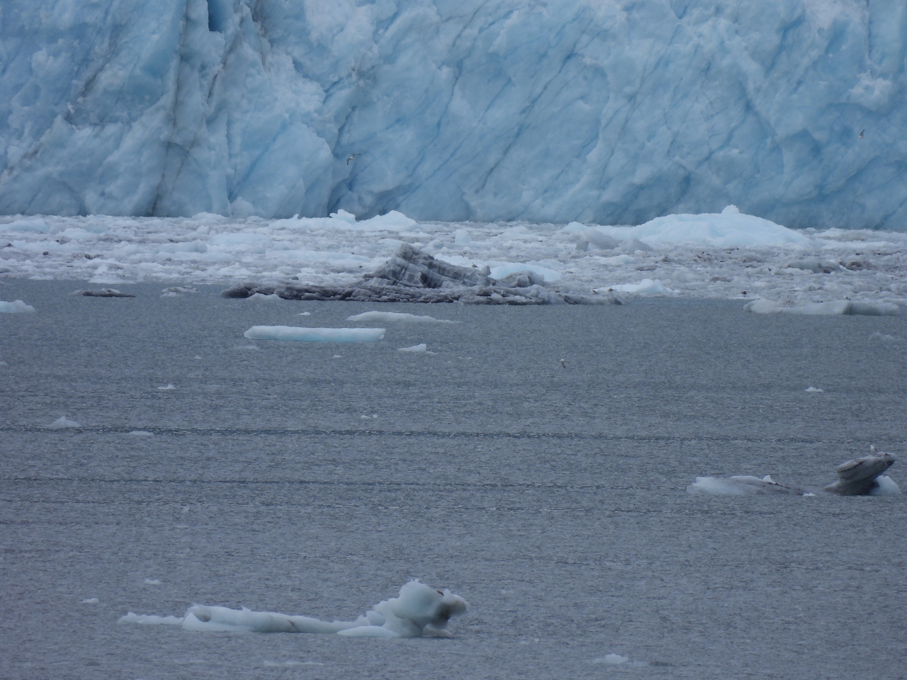 DSCN5708.JPG