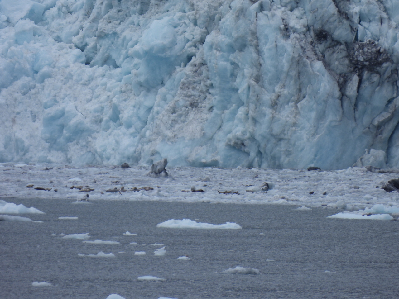 DSCN5712.JPG