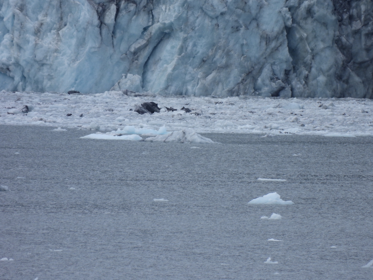 DSCN5713.JPG