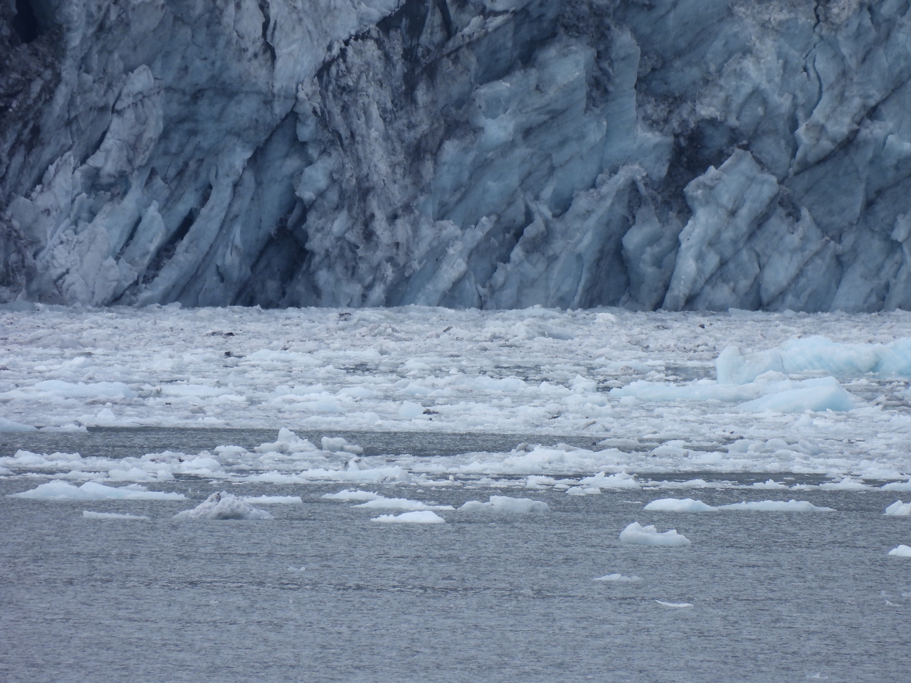 DSCN5717.JPG