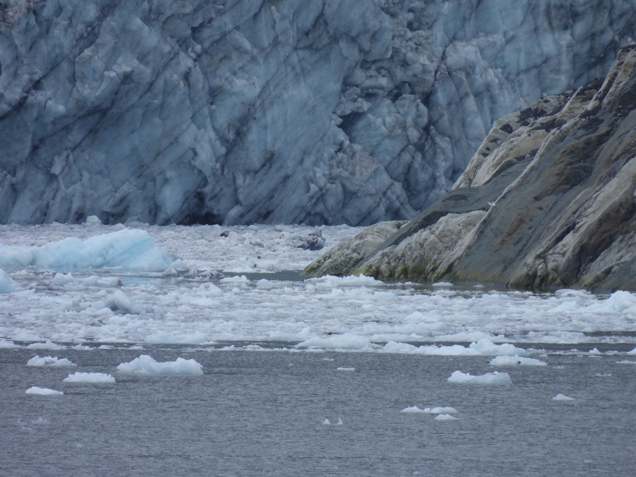 DSCN5718.JPG