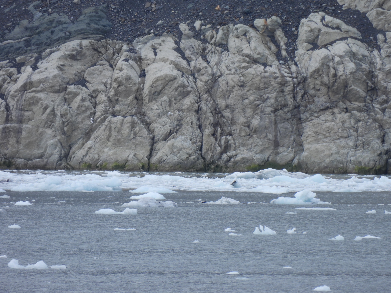 DSCN5720.JPG